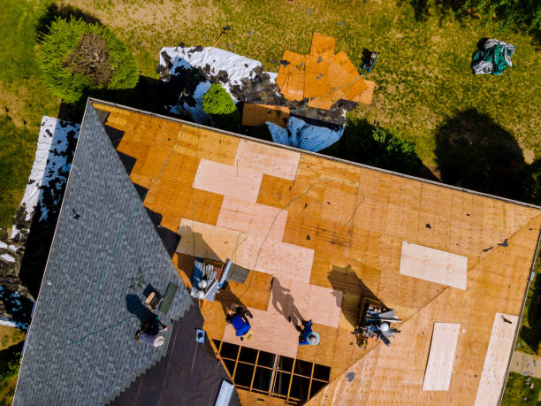 Best Roof Maintenance Services  in Governors Village, NC
